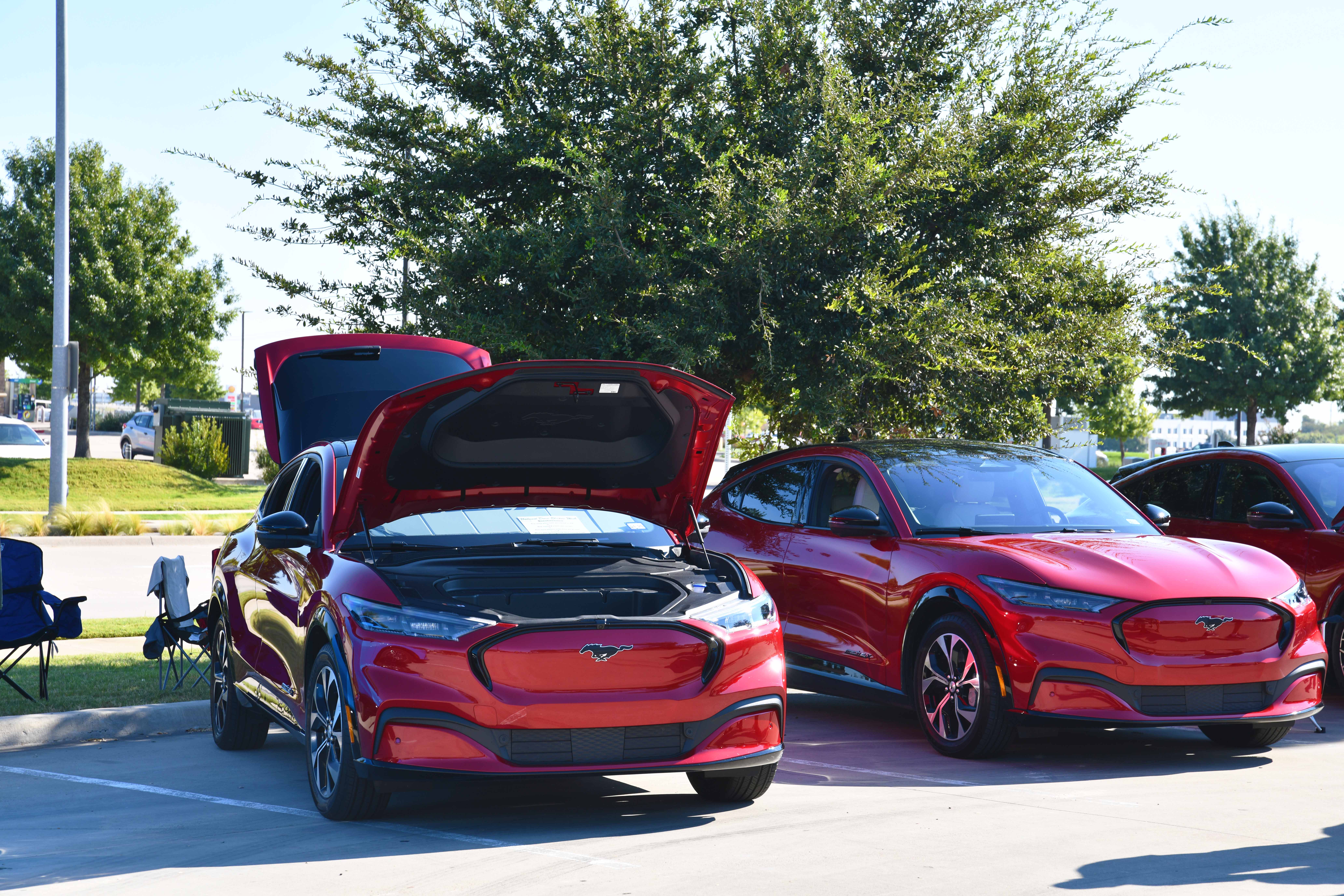 Two Mustang Mach-E Cars
